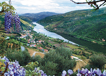Duro River Valley, Portugal